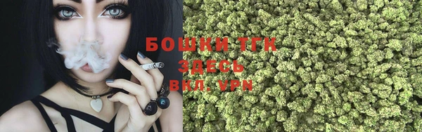 jwh Карпинск